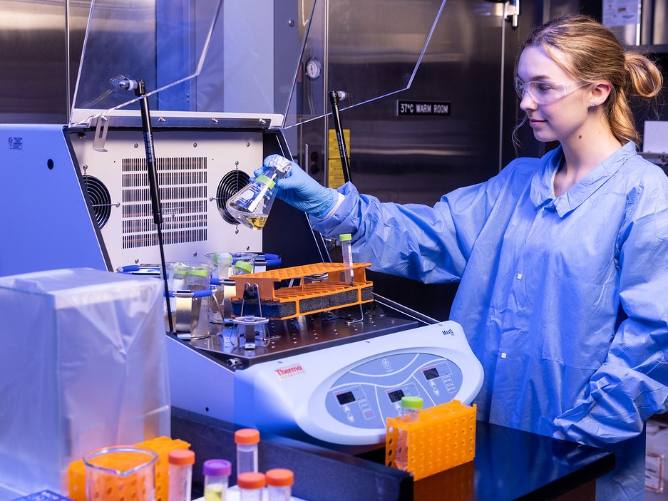 Microbiology student researcher working with cultures at an incubator.